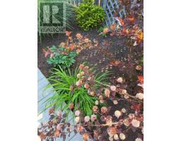 91 Etna Street, Bridgewater, NS B4V8Z1 Photo 32