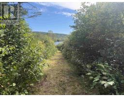 Highway 205, Baddeck Bay, NS B0E1B0 Photo 7