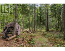 484 Wylie Road, Laurentian Hills, ON K0J1P0 Photo 42