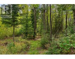 484 Wylie Road, Laurentian Hills, ON K0J1P0 Photo 43