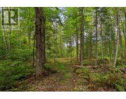 484 Wylie Road, Laurentian Hills, ON K0J1P0 Photo 44