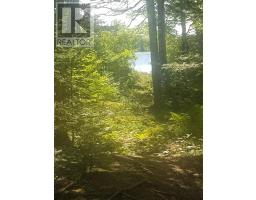 Lot Middle Road, Fort Lawrence, NS B4H3Y5 Photo 22
