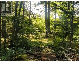Lot Middle Road, Fort Lawrence, NS B4H3Y5 Photo 26