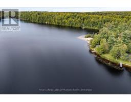 91 Beach Road, Huntsville, ON P0B1M0 Photo 29