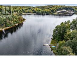 91 Beach Road, Huntsville, ON P0B1M0 Photo 31