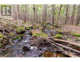 178 Buchanan Road, South Berwick, NS B0P1E0 Photo 30