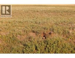 Parcel 8 Range Road 271 Just South Of Highway 9., Rural Rocky View County, AB T0M1G0 Photo 8