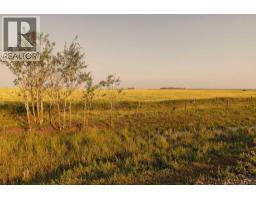 Parcel 7 Range Road 271 Just South Of Highway 9., Rural Rocky View County, AB T0M1G0 Photo 7