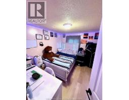 923-925 California Avenue, Windsor, ON N9B2Z5 Photo 19