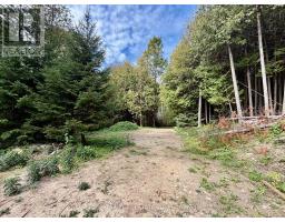 713467 1st Line Ehs, Mono, ON L9W5T3 Photo 23