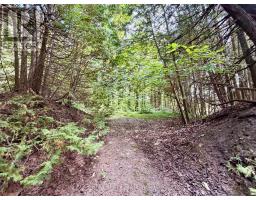 713467 1st Line Ehs, Mono, ON L9W5T3 Photo 31