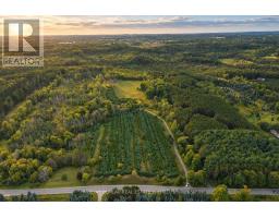 993124 Mono-adjala Townline, Mono, ON L9W6H3 Photo 50