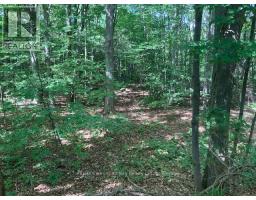 9513 County Rd 93 Road Ne, Midland, ON L4R5K6 Photo 20