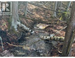 Lot B Ranch Road Lot# Lot B, Vernon, BC V1B3J9 Photo 7