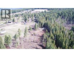 Lot B Ranch Road Lot# Lot B, Vernon, BC V1B3J9 Photo 11
