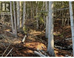 Lot B Ranch Road Lot# Lot B, Vernon, BC V1B3J9 Photo 27
