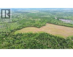 Lot Ch Des Heberts, Acadieville, NB E4Y1Y3 Photo 7