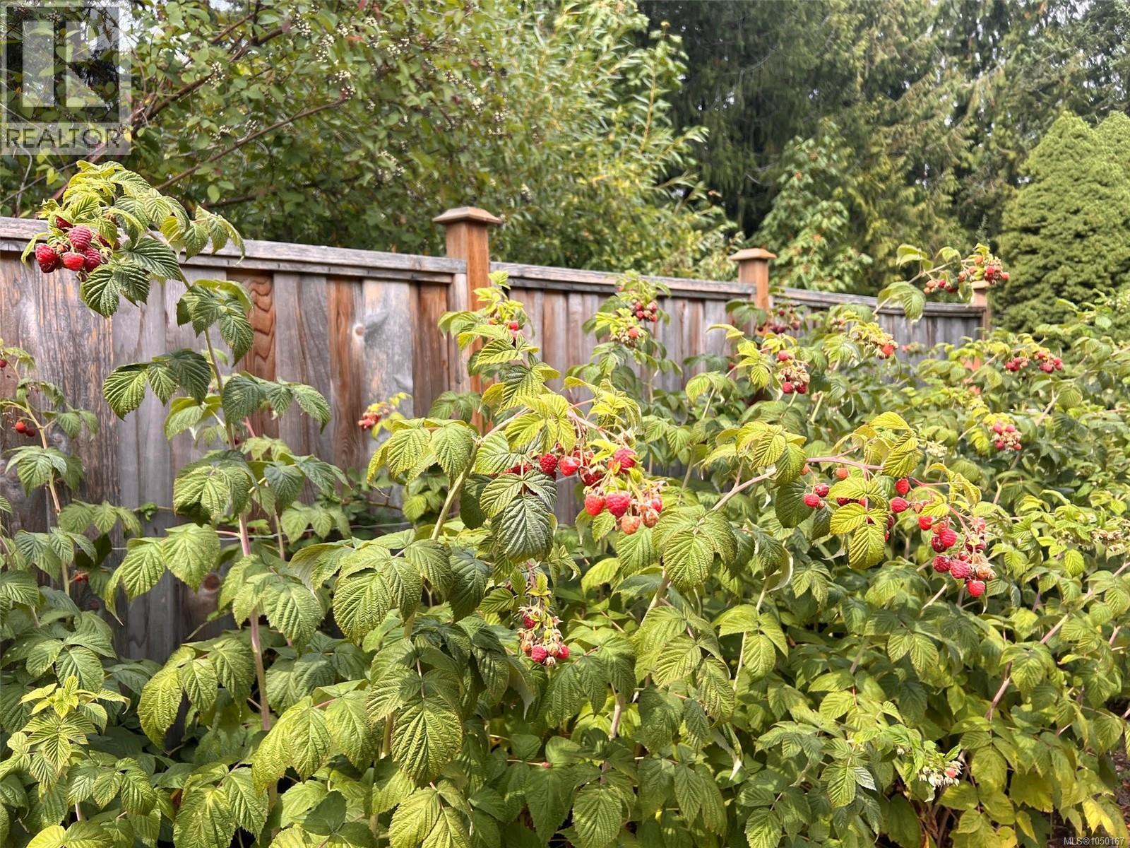  4290 Eastridge Crescent, Saanich