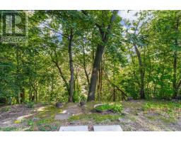 28 Beaucourt Road, Toronto, ON M8Y3G2 Photo 42