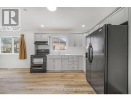 132 Carlton Street, St  Catharines, ON L2R7S6 Photo 17