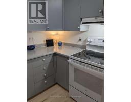 Kitchen - 1 - 817 High Street, Ottawa, ON K2B6C3 Photo 6