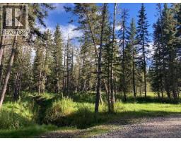 Lot #1 - 231031 Rr 54  Nw, Bragg Creek, AB T0L0K0 Photo 11