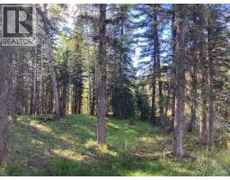 Lot #1 - 231031 Rr 54  Nw, Bragg Creek, AB T0L0K0 Photo 12