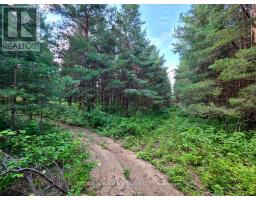 3430 Concession 3 S, Clearview, ON L0M1G0 Photo 39