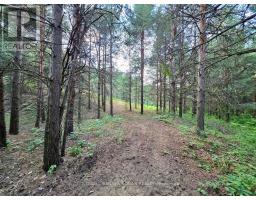 3430 Concession 3 S, Clearview, ON L0M1G0 Photo 40