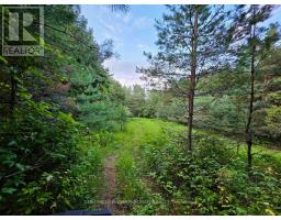 3430 Concession 3 S, Clearview, ON L0M1G0 Photo 41