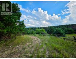 3430 Concession 3 S, Clearview, ON L0M1G0 Photo 42
