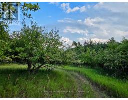 3430 Concession 3 S, Clearview, ON L0M1G0 Photo 43