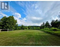 3430 Concession 3 S, Clearview, ON L0M1G0 Photo 45