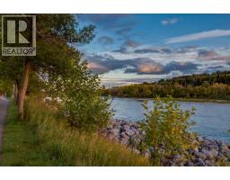 528 30 Street Nw, Calgary, AB T2N2V3 Photo 29