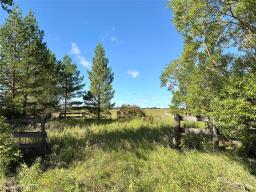 2pc Bathroom - 6403 No. 8 Highway, St Andrews, MB R1A3L2 Photo 6