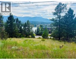 Lot 57 Upper Lakeview Road, Windermere, BC V0B1L0 Photo 13