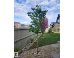 347 Ascott Cr, Sherwood Park, AB T8T1A7 Photo 46