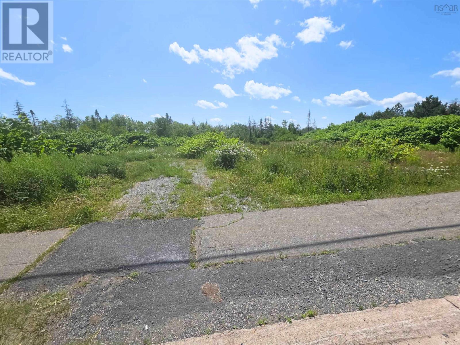 Birch Grove Road
