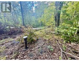00 North Lot Highway 62, Madoc, ON K0K2K0 Photo 6