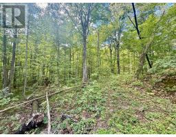 00 North Lot Highway 62, Madoc, ON K0K2K0 Photo 7