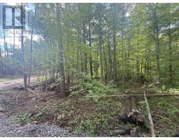 00 North Lot Highway 62, Madoc, ON K0K2K0 Photo 8
