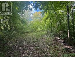 00 South Lot Highway 62, Madoc, ON K0K2K0 Photo 6