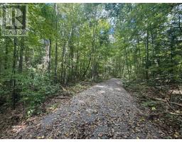00 South Lot Highway 62, Madoc, ON K0K2K0 Photo 7