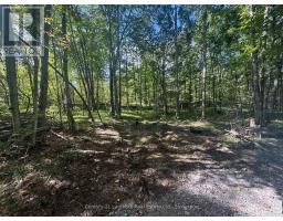 00 Middle Lot Highway 62, Madoc, ON K0K2K0 Photo 6
