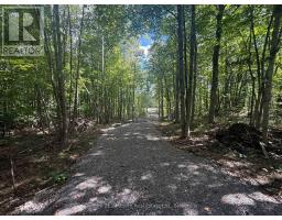00 Middle Lot Highway 62, Madoc, ON K0K2K0 Photo 7