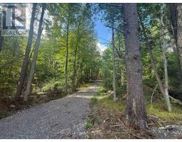 00 Middle Lot Highway 62, Madoc, ON K0K2K0 Photo 8