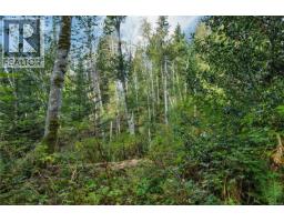 Lot 1 Cliff Rd, Quadra Island, BC V0P1N0 Photo 11