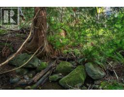 Lot 1 Cliff Rd, Quadra Island, BC V0P1N0 Photo 12