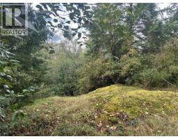 Lot 1 Cliff Rd, Quadra Island, BC V0P1N0 Photo 7