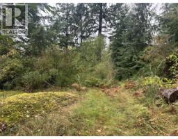 Lot 1 Cliff Rd, Quadra Island, BC V0P1N0 Photo 8